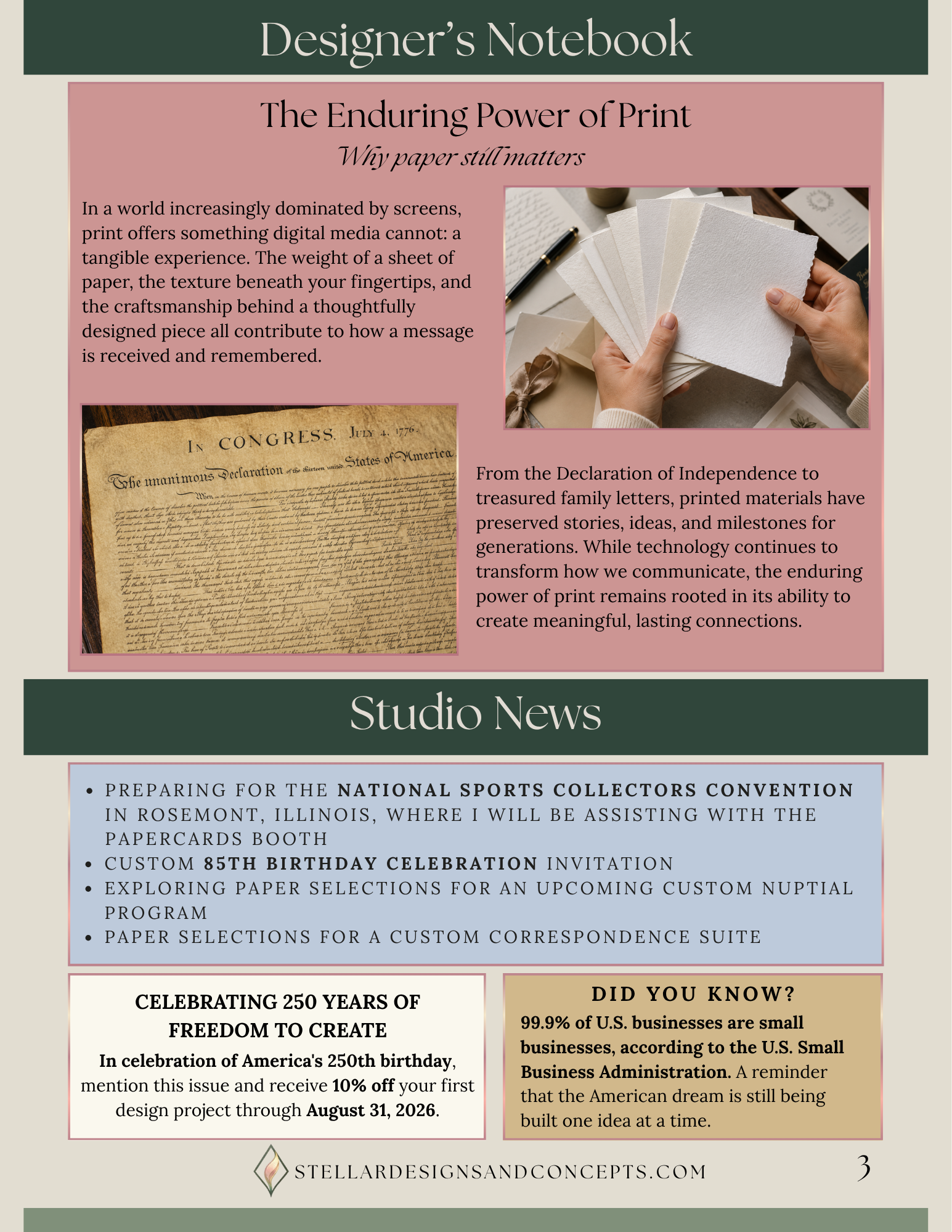 "In the Details" Newsletters for Stellar Designs & Concepts - preview